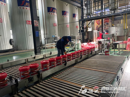 机遇中国之下的奋进新疆 写在全国两会召开之际