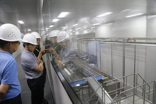 全国首张竹叶粉食品生产许可证落户芦山，科技创新引领食品产业升级